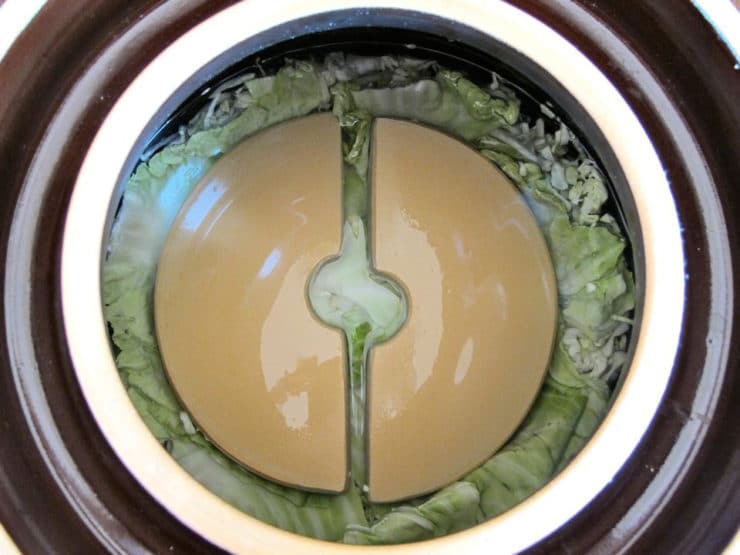 Fermentation crock overhead shot - top layer of whole cabbage leaves covered by two half disk weights, topped off with liquid.