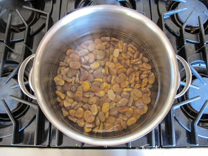 All About Fava Beans: How to Cook, Soak, Peel and Freeze - Learn how to cook all varieties of fava beans to prepare them for use in recipes. Includes storage and freezing techniques.