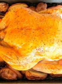 Trussed roast chicken in roasting pan with potatoes and carrots.
