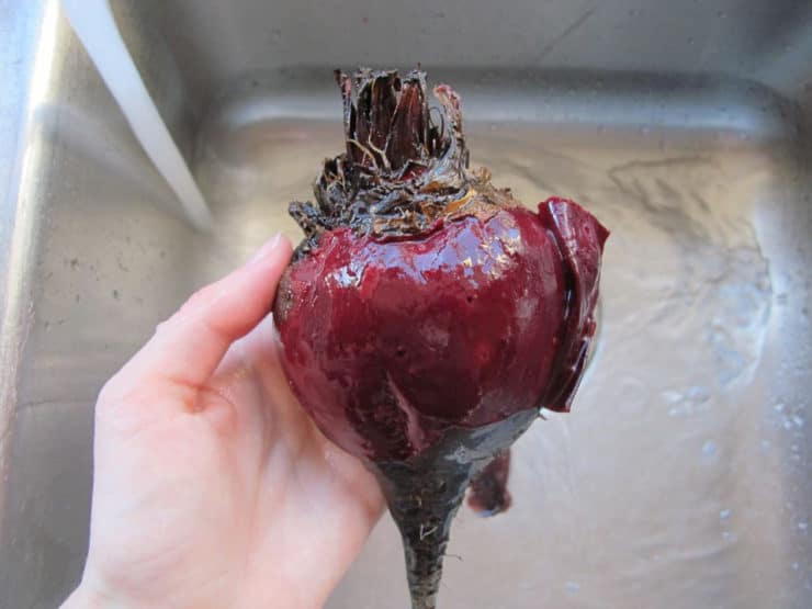 Peeling cooked beets under running water.