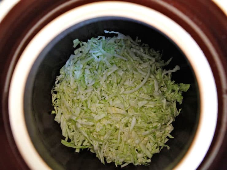 Fermentation crock overhead shot - half filled with shredded cabbage.