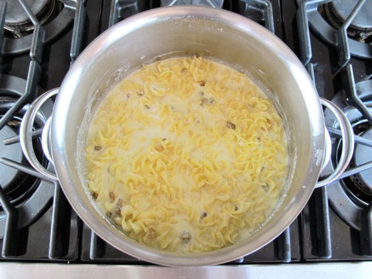 Raisins stirred into noodles.