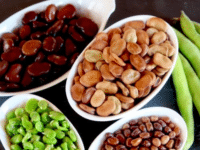 Soaked, cooked, peeled, and frozen fava beans ready for use on different white plate containers